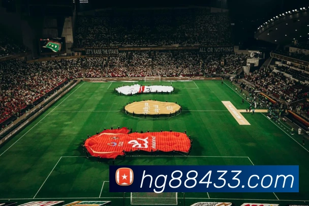 未来规划